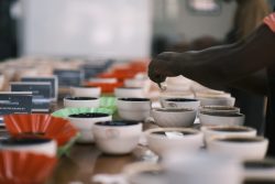 エチオピア・シダモのスペシャルティコーヒーを求めて｜現地買付の旅と一杯に込めた想い