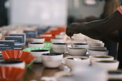 エチオピアのスペシャルティコーヒーをカッピングして買い付け